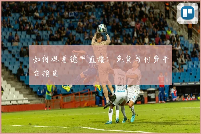 如何观看德甲直播:免费与付费平台指南