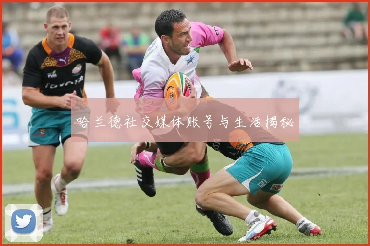 哈兰德社交媒体账号与生活揭秘
