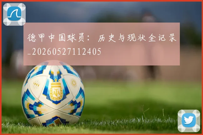 德甲中国球员：历史与现状全记录_20260527112405