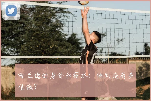 哈兰德的身价和薪水：他到底有多值钱？