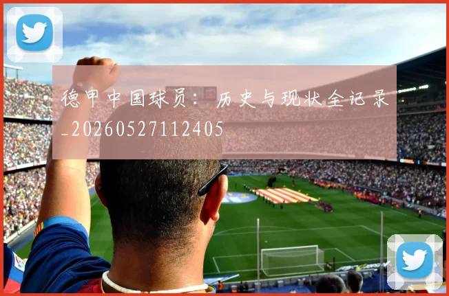 德甲中国球员:历史与现状全记录_20260527112405