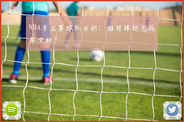 NBA季后赛球队分析:谁将捧起总冠军奖杯?