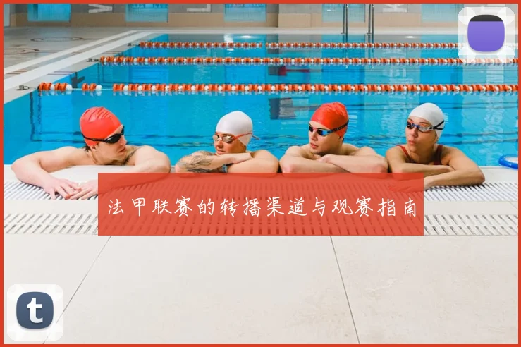 法甲联赛的转播渠道与观赛指南